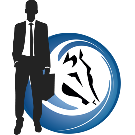 Sistema_Pegasus